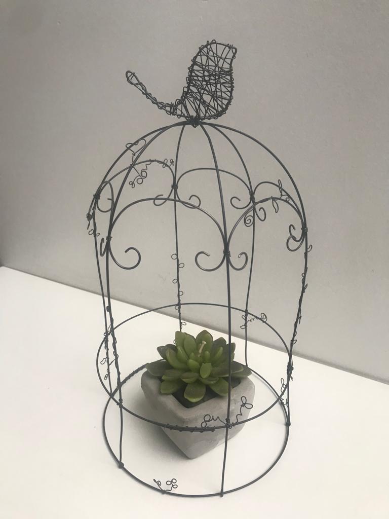 clase jaulita - Imagen 2