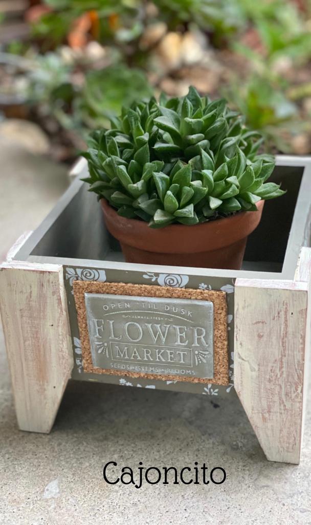 clase Cajoncito - Imagen 2