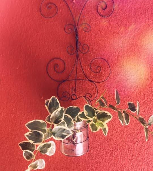 clase frasco colgante