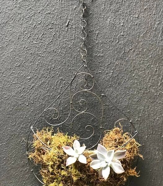 clase colgante marruecos