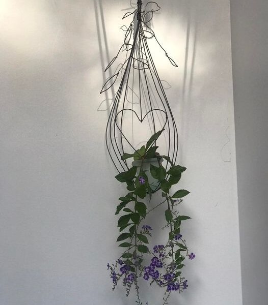 clase colgante con hojas