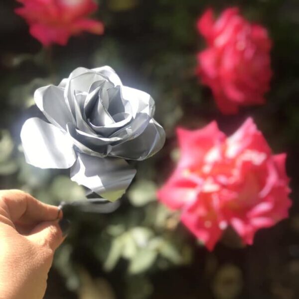 clase rosa de chapa