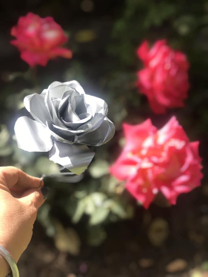 clase rosa de chapa