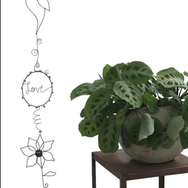 clase colgante colibri