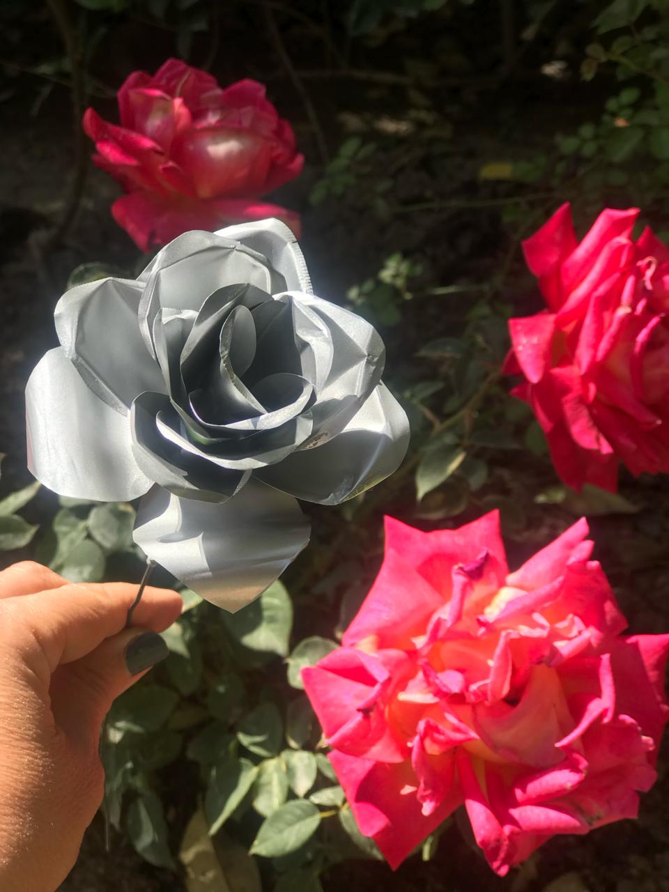 clase rosa de chapa - Imagen 2
