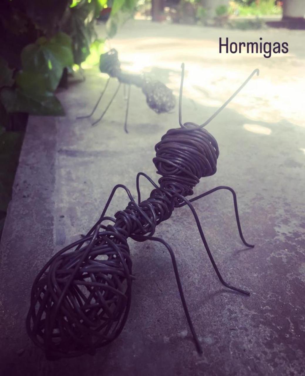 clase hormigas - Imagen 2