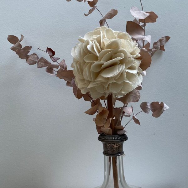 Clase hortensias